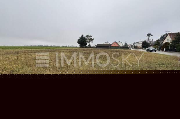 Grundstück kaufen in 2201 Kapellerfeld (Bild 4)