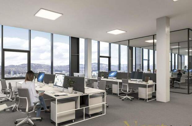 Gewerbeobjekt mieten in 4020 Linz (Bild 5)