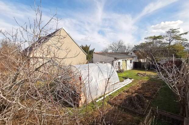 Grundstück kaufen in 7091 Breitenbrunn (Bild 3)