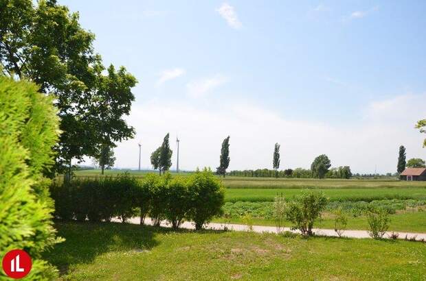 Terrassenwohnung mieten in 2463 Stixneusiedl (Bild 2)