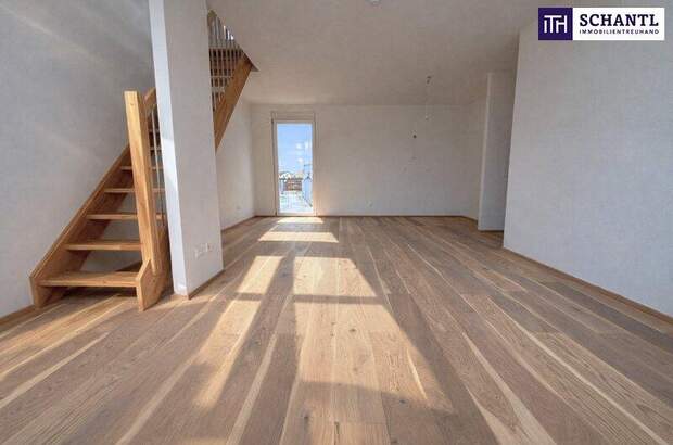 Terrassenwohnung kaufen in 2514 Traiskirchen (Bild 4)