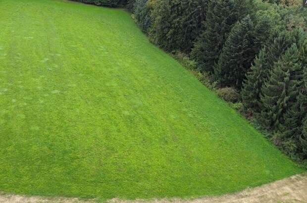 Grundstück kaufen in 8334 Riegersburg (Bild 3)