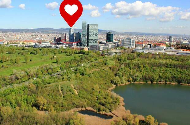 Wohnung kaufen in 1100 Wien (Bild 1)