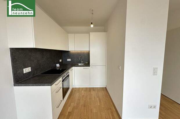 Terrassenwohnung mieten in 1210 Wien (Bild 3)