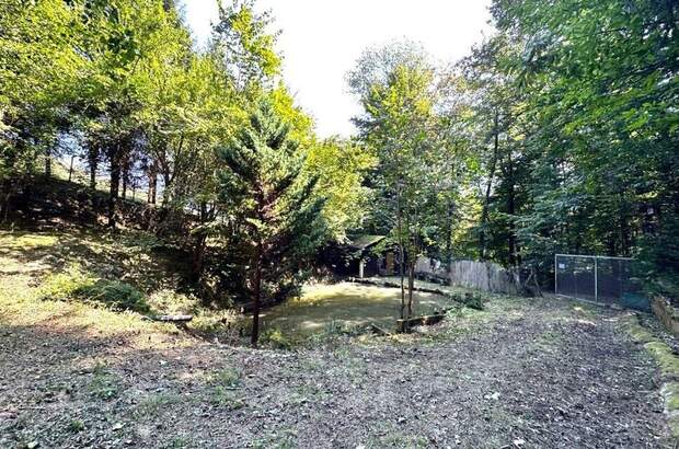 Gewerbeobjekt kaufen in 8462 Gamlitz (Bild 4)