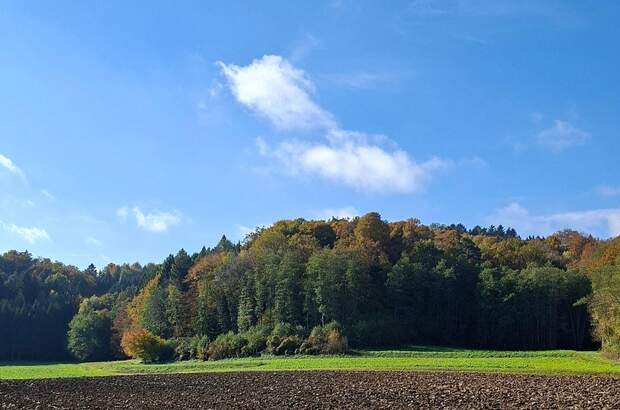Wohnung mieten in 8383 Sankt Martin (Bild 3)