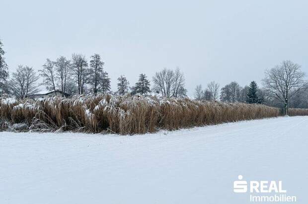 Grundstück kaufen in 5280 Braunau (Bild 3)