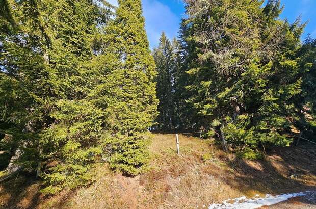 Grundstück kaufen in 8742 Sankt Anna (Bild 3)