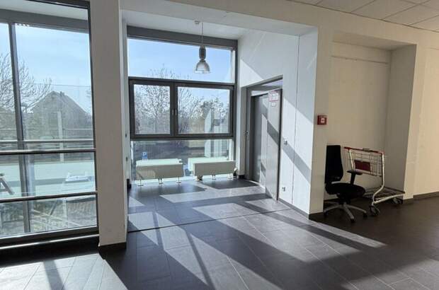 Gewerbeobjekt mieten in 8073 Feldkirchen (Bild 5)