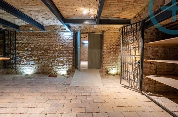 Gewerbeobjekt mieten in 2340 Mödling (Bild 3)