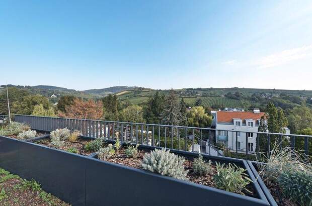 Terrassenwohnung kaufen in 1190 Wien (Bild 3)
