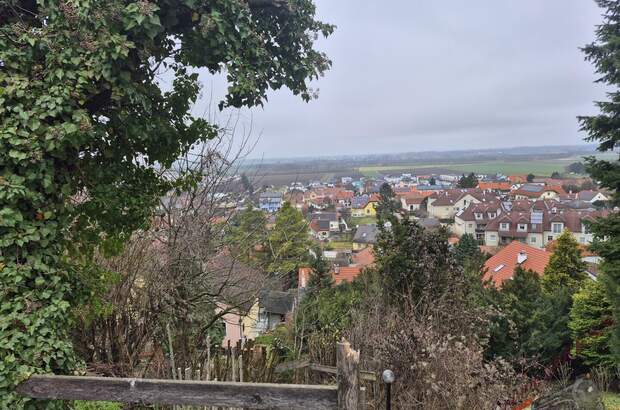 Einfamilienhaus kaufen in 3433 Königstetten (Bild 5)