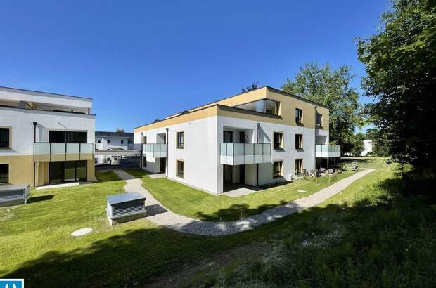 Wohnung kaufen in 4910 Ried (Bild 1)