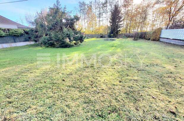 Grundstück kaufen in 4073 Wilhering (Bild 1)