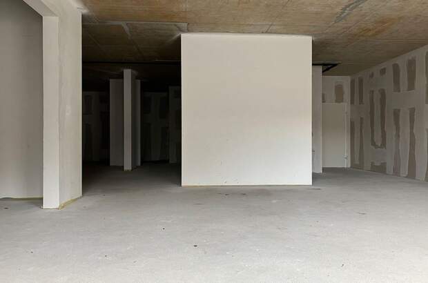 Gewerbeobjekt mieten in 1230 Wien (Bild 3)
