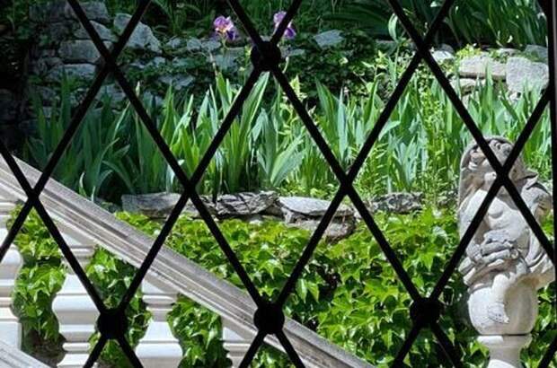 Haus mit Garten kaufen in 2371 Hinterbrühl (Bild 4)