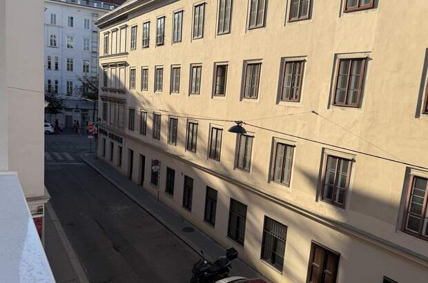 Altbauwohnung kaufen in 1040 Wien (Bild 3)