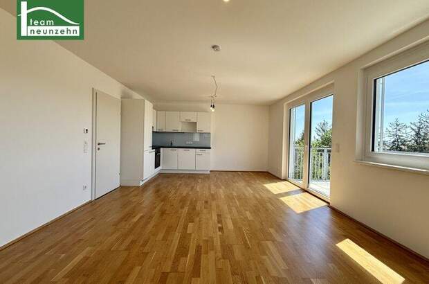 Terrassenwohnung mieten in 1180 Wien (Bild 1)