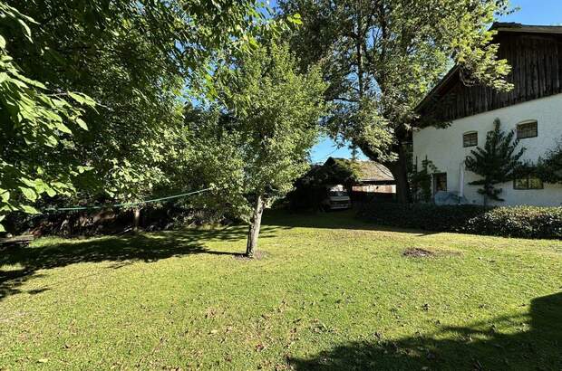 Grundstück kaufen in 4963 St. Peter (Bild 3)