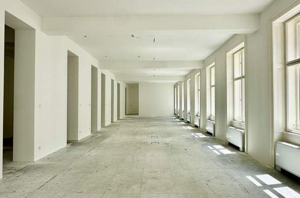 Gewerbeobjekt mieten in 1010 Wien (Bild 3)