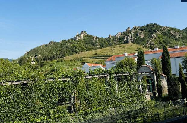 Gewerbeobjekt kaufen in 3601 Dürnstein (Bild 2)