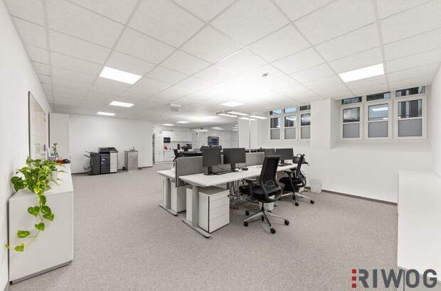 Büro / Praxis kaufen in 1070 Wien (Bild 4)