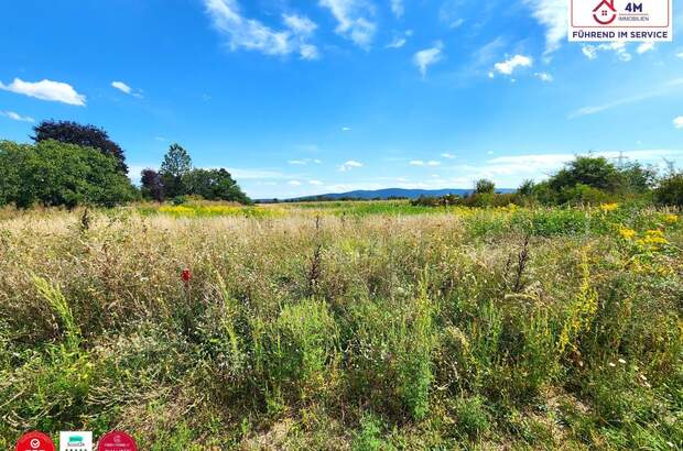 Grundstück kaufen in 2700 Wr. Neustadt (Bild 4)