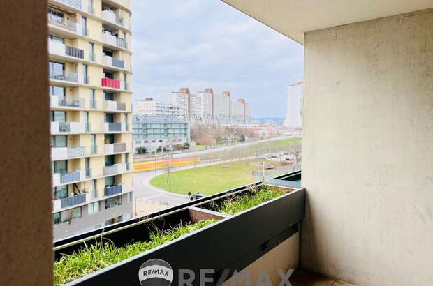 Terrassenwohnung kaufen in 1230 Wien (Bild 1)