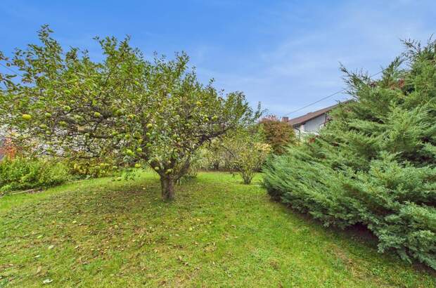 Einfamilienhaus kaufen in 4052 Ansfelden (Bild 2)