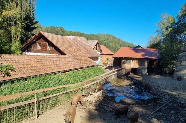 Bauernhaus kaufen in 4294 St. Leonhard (Bild 2)