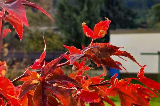 Mietwohnung in 6111 Volders (Bild 1)