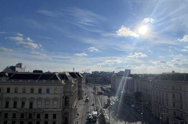 Gewerbeobjekt mieten in 1010 Wien (Bild 1)