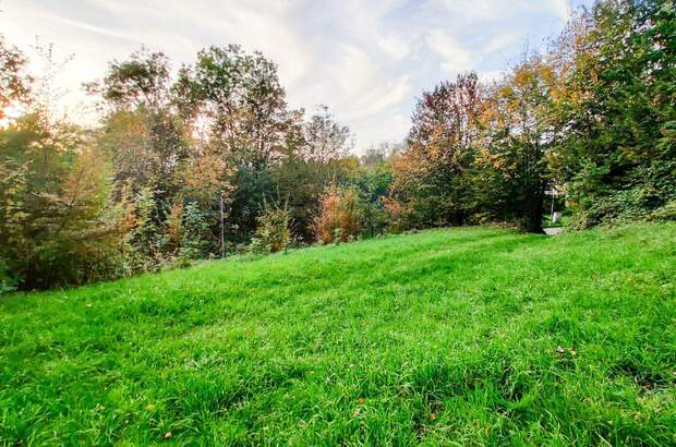 Grundstück kaufen in 4650 Lambach (Bild 1)