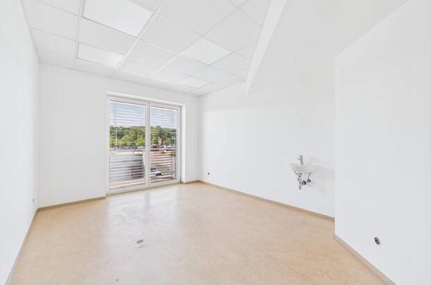 Büro / Praxis mieten in 4221 Steyregg (Bild 5)