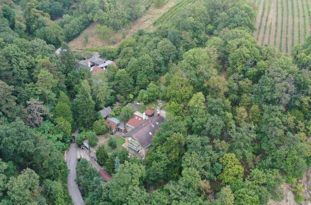 Haus mit Garten kaufen in 1190 Wien (Bild 1)