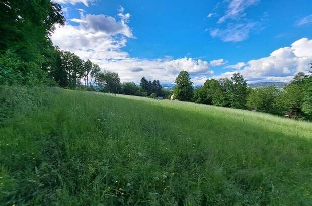 Gewerbeobjekt kaufen in 8582 Rosental (Bild 3)