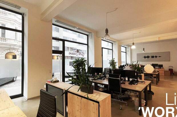 Gewerbeobjekt mieten in 1080 Wien (Bild 4)