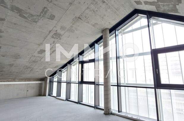 Gewerbeobjekt mieten in 1230 Wien (Bild 1)