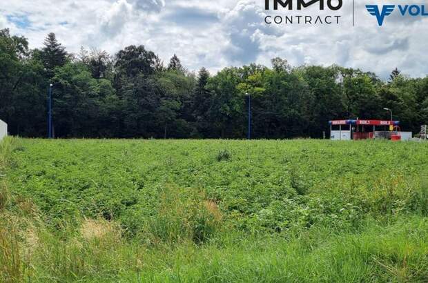 Gewerbeobjekt mieten in 3331 Kematen (Bild 3)