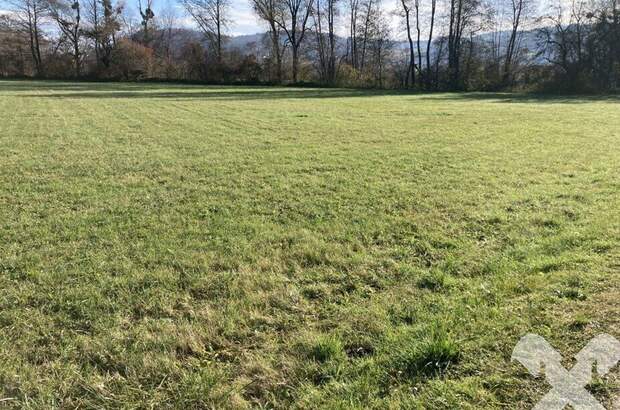 Gewerbeobjekt kaufen in 8341 Paldau (Bild 4)