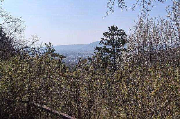 Grundstück kaufen in 2103 Langenzersdorf (Bild 2)