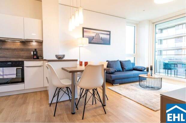 Terrassenwohnung mieten in 1030 Wien (Bild 3)