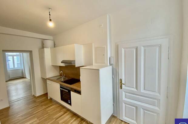 Altbauwohnung kaufen in 1170 Wien