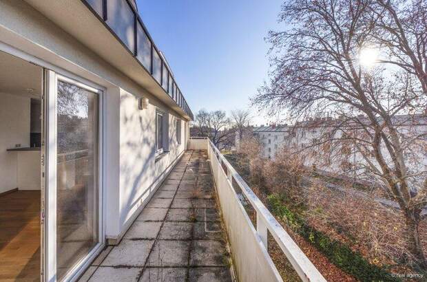 Terrassenwohnung mieten in 1190 Wien (Bild 1)