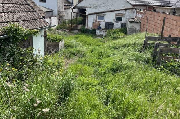 Haus kaufen in 2123 Wolfpassing (Bild 4)