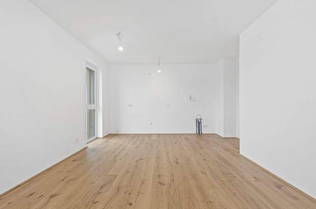 Anlageobjekt kaufen in 2540 Bad Vöslau (Bild 4)