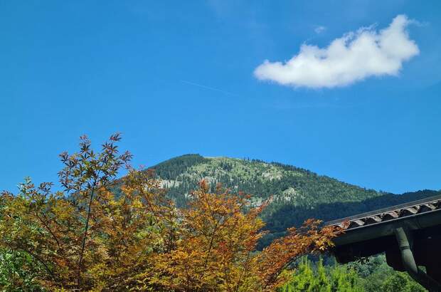 Grundstück kaufen in 5026 Salzburg (Bild 1)