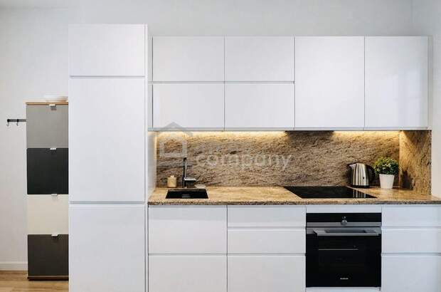 Altbauwohnung kaufen in 1190 Wien (Bild 2)