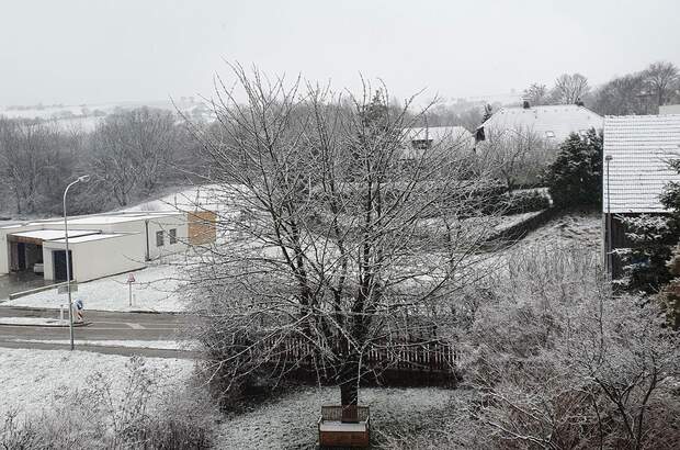 Wohnung kaufen in 3441 Judenau (Bild 5)