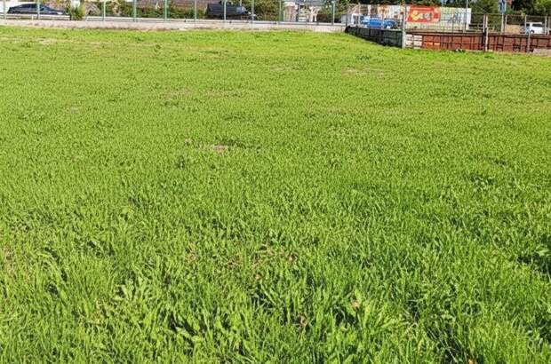 Gewerbeobjekt kaufen in 2353 Guntramsdorf (Bild 2)